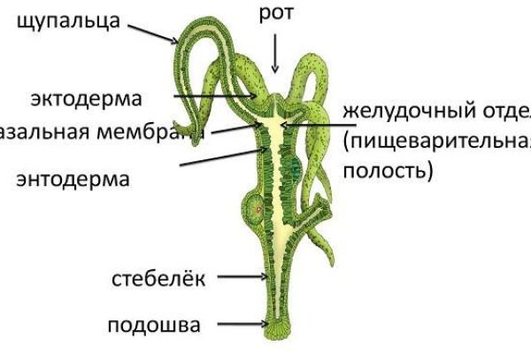 Kraken darknet market ссылка